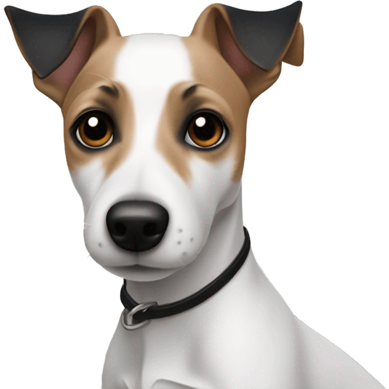 Fully white Jack russel with black ears emoji