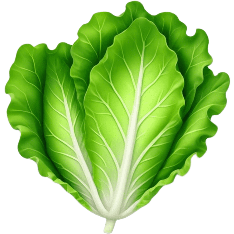 single lettuce leaf on a plate emoji