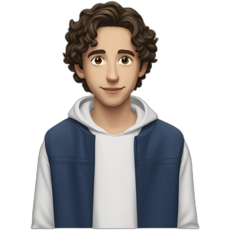 Timothée chamalet emoji