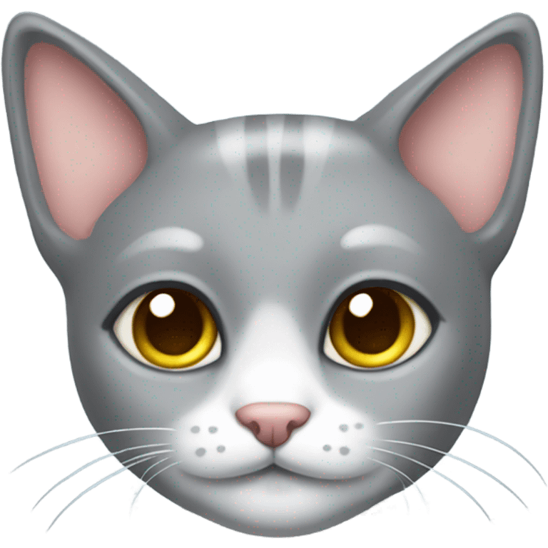 Cute grey cat with ribbon on ear  emoji