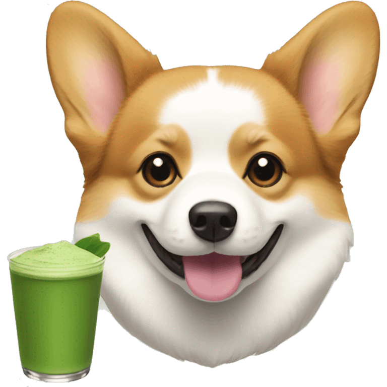 Corgi and matcha  emoji