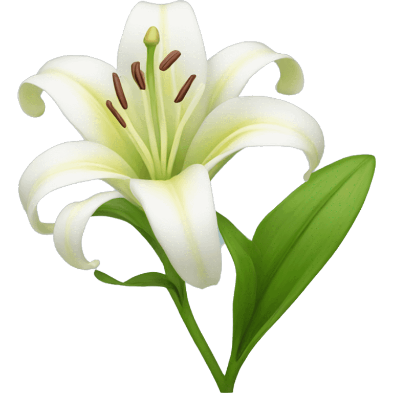 Lily flower  emoji