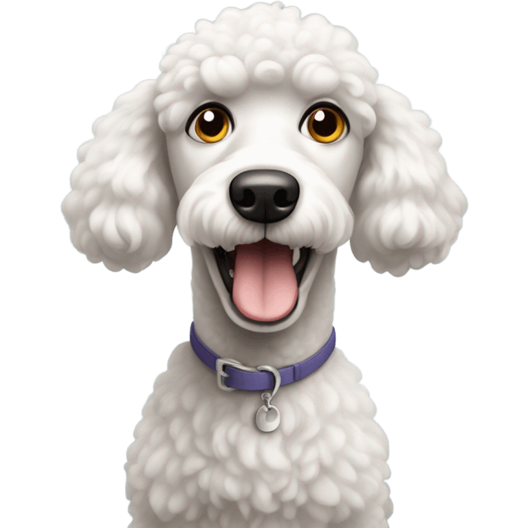 Scared white poodle dog with round eyes  emoji