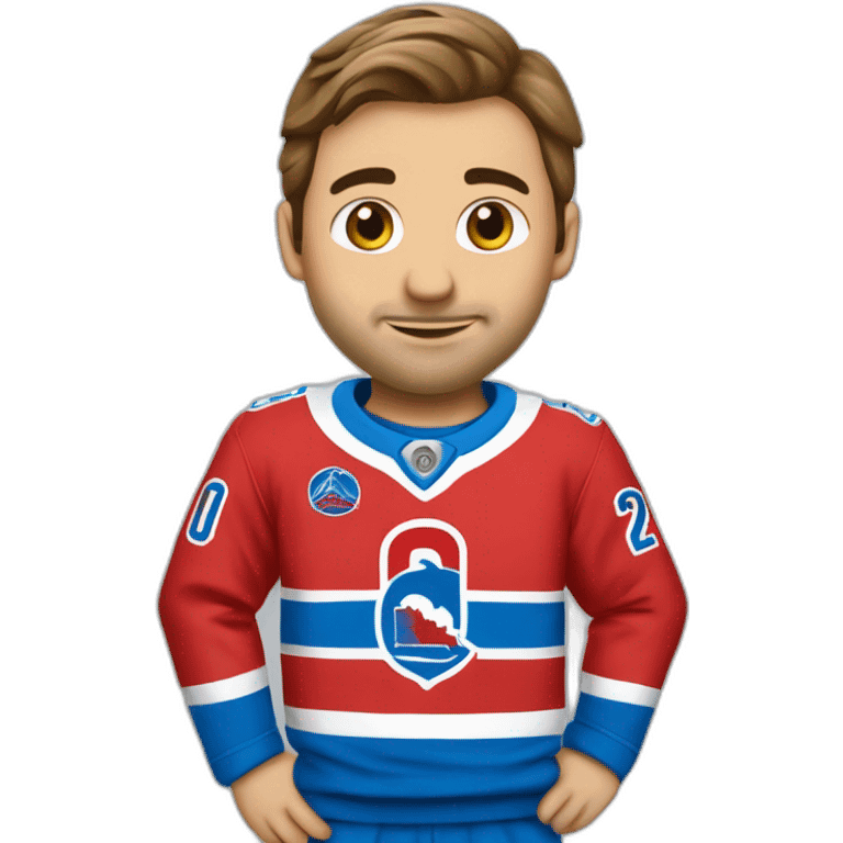 chandail des Nordiques de québec emoji