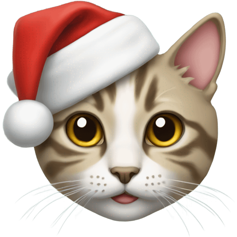 Cat with Santa hat emoji