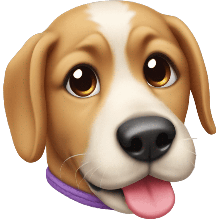 Accessoires pour chien mignon emoji