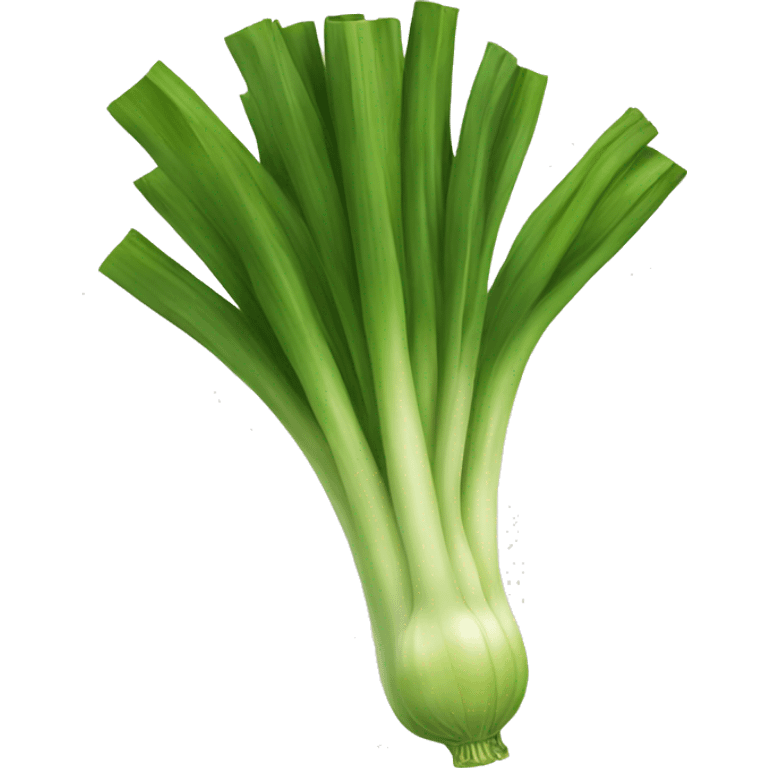 Leek vegetable  emoji