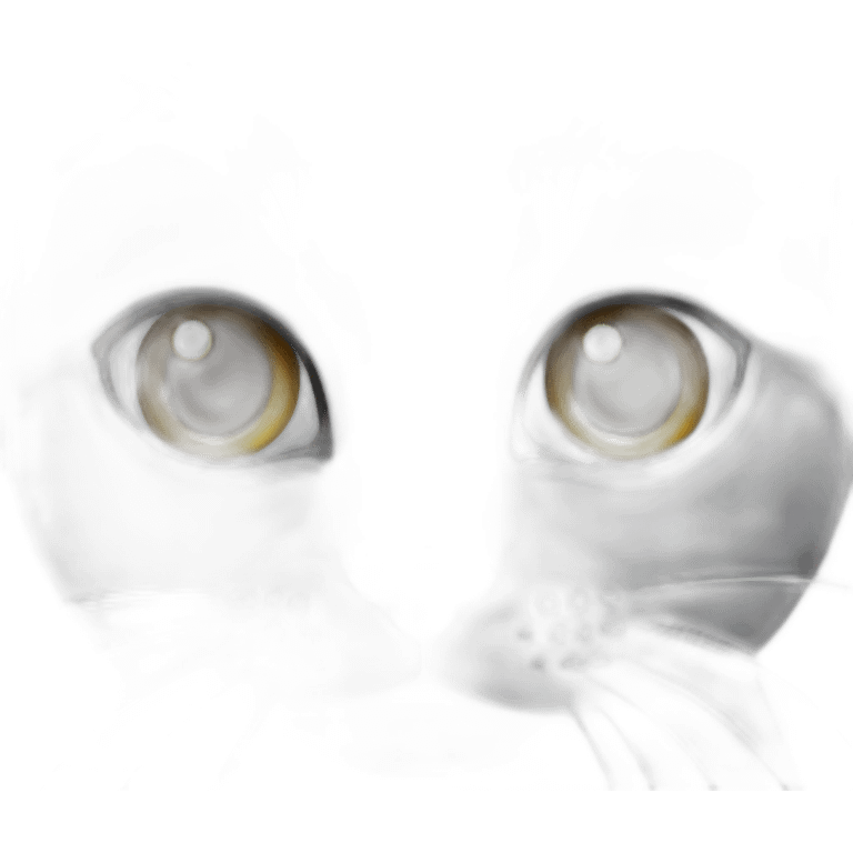 Grey cat with leff-blind-eye emoji