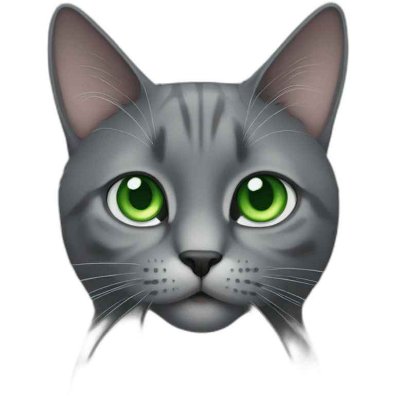 hard grey cat with green eyes emoji