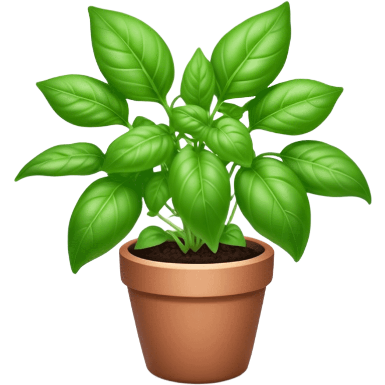 Cinematic Realistic Basil Emoji, Lush and fragrant, with vibrant green leaves that release a fresh, herbal aroma. The soft, glossy leaves are delicately arranged along slender stems, exuding vitality and flavor. Soft glowing outline, capturing the essence of freshness, growth, and aromatic delight in a blossoming basil plant! emoji