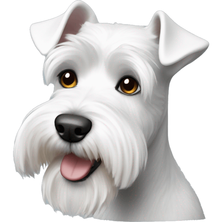 A white miniature schnauzer emoji