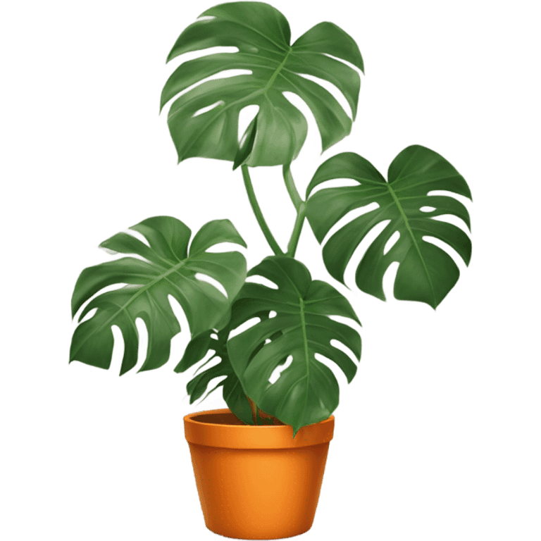 aesthetic monstera in an orange pot against an orange wall emoji