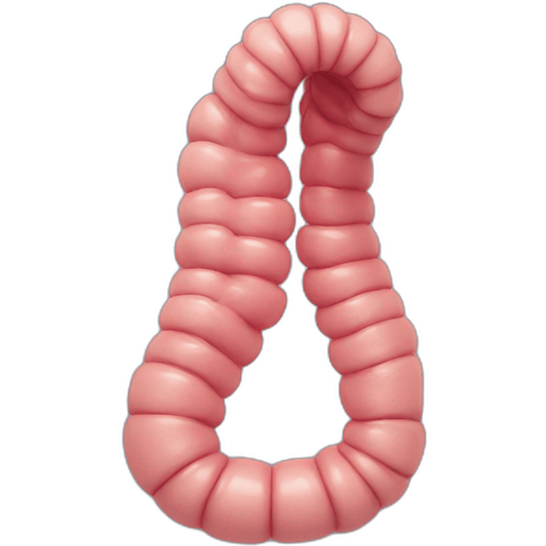 small-intestine emoji