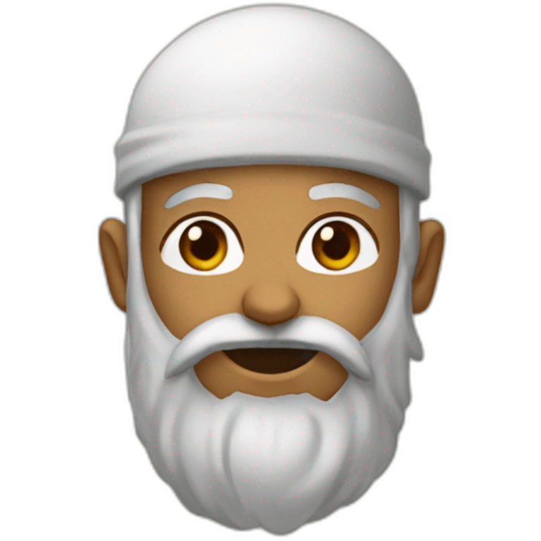 ANIS emoji