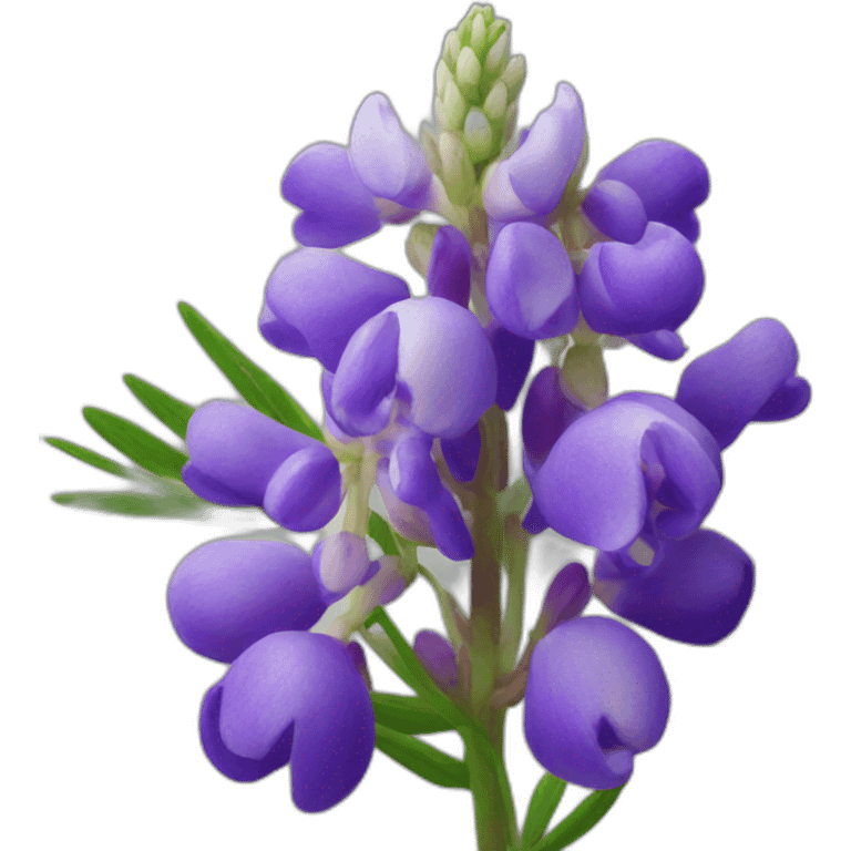 lupine  emoji