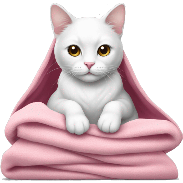 white cat with pink blanket emoji