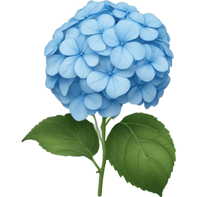 Light blue hydrangea emoji