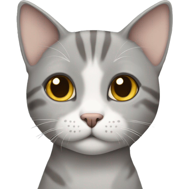 Gray shorthair cat emoji