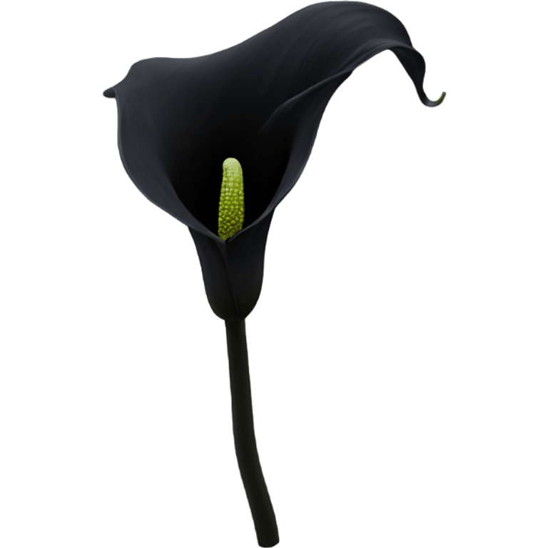 Black calla lily emoji