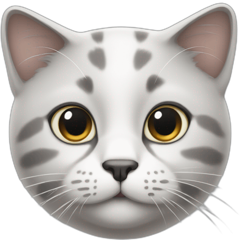 white and gray forehead cat emoji