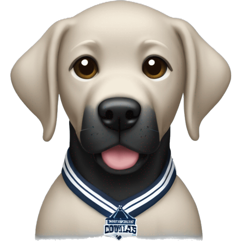 A black lab in Dallas cowboys clothes emoji