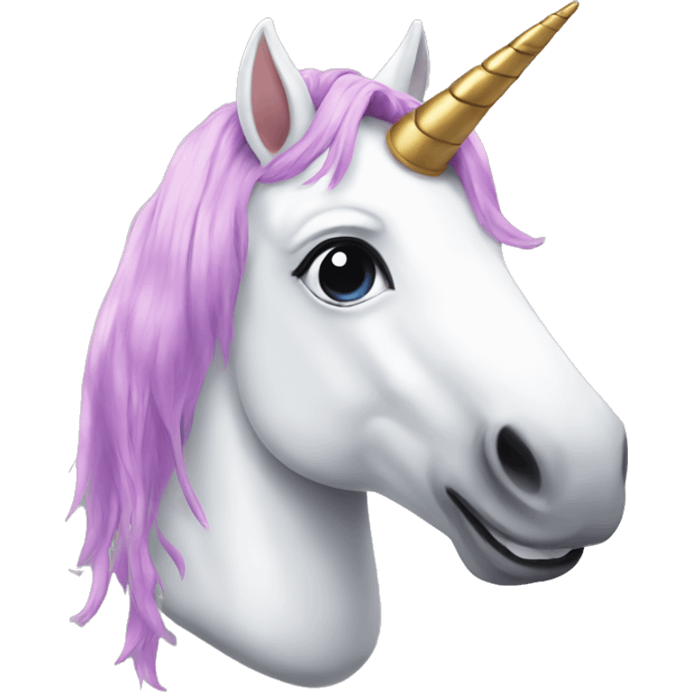 unicorn with shoes emoji