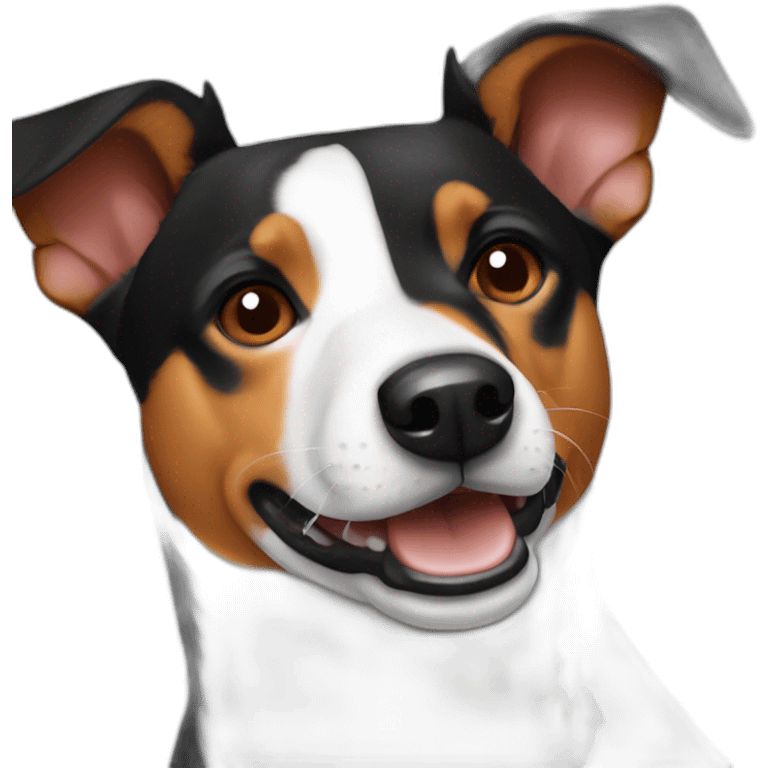 Tricolor Basenji emoji