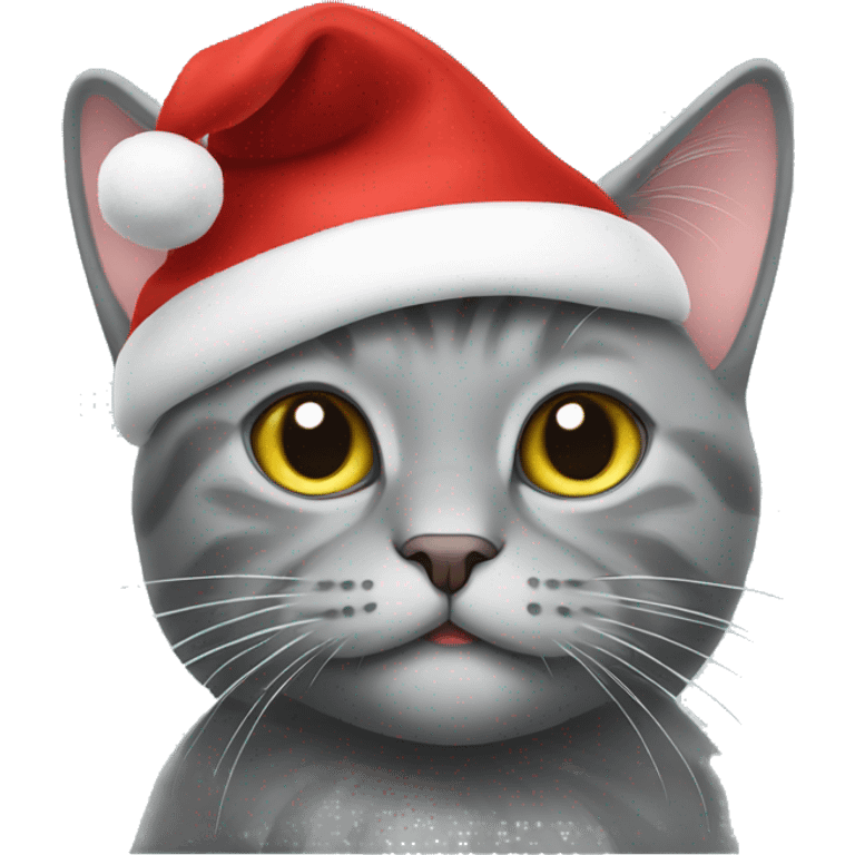 Scottish grey cat in Christmas hat emoji