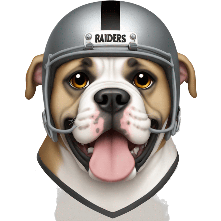 Tan American bulldog wearing a raiders helmet emoji