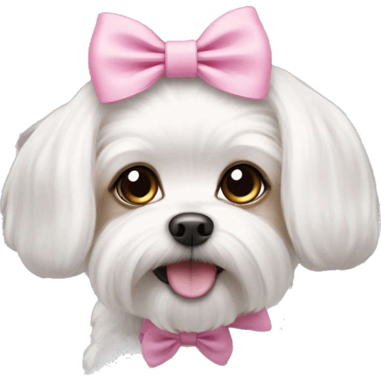 Small Maltese wearing a pink bow emoji