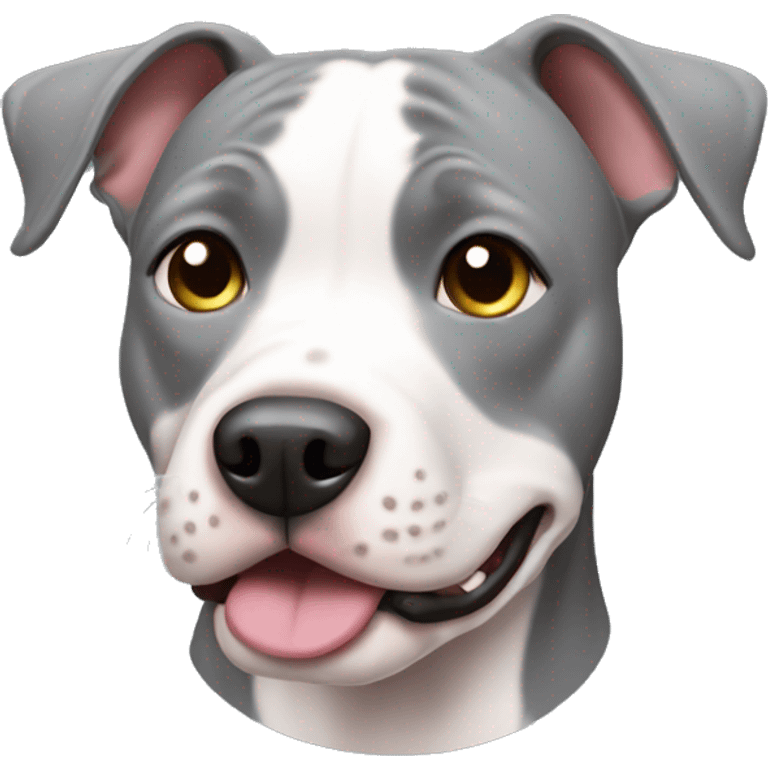 Gray Pitbul  emoji