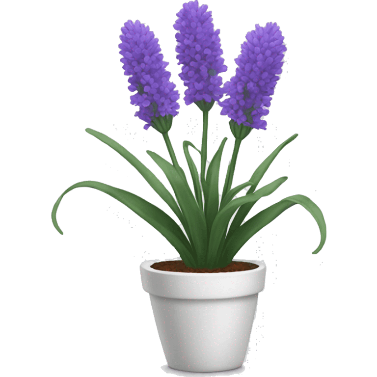 Lavender flower in a white pot  emoji