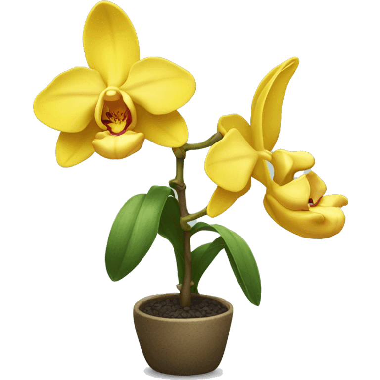 Yellow orchid plant emoji