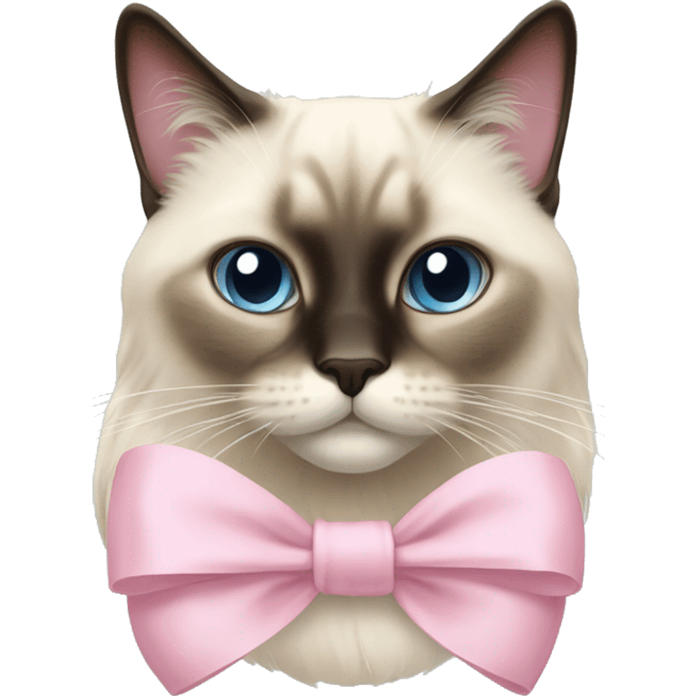 Long haired Siamese cat with pastel pink bow emoji