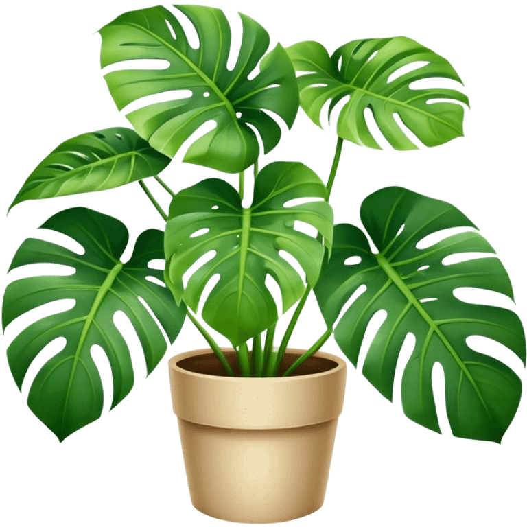 Monstera plant emoji