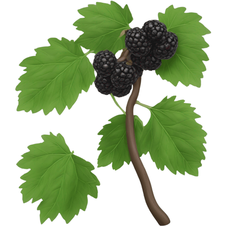 one black mulberry emoji