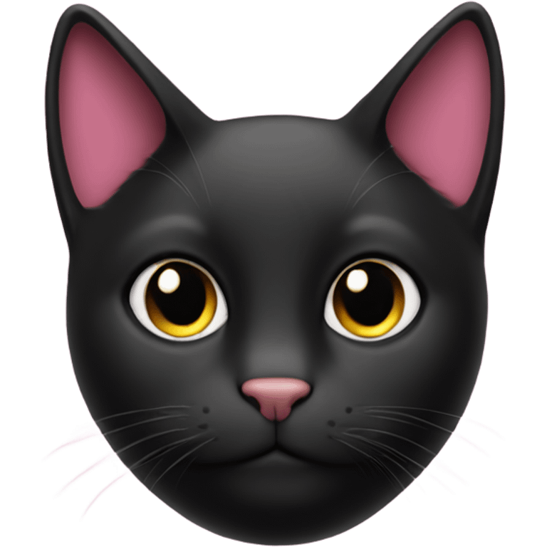 a black cat with a pink coat emoji