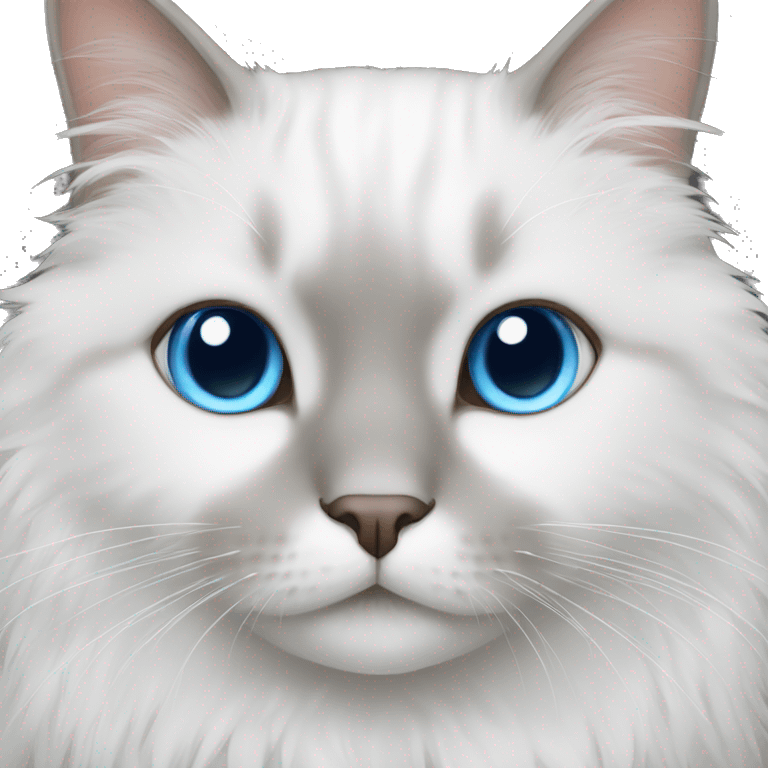 White fluffy cat with one brown eye and one blue eye emoji