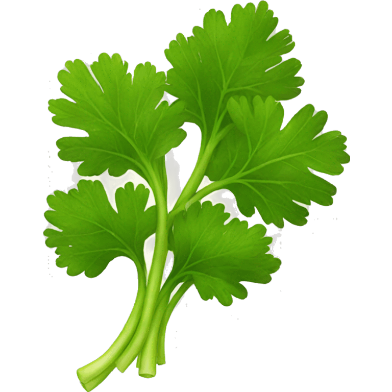 parsley  emoji