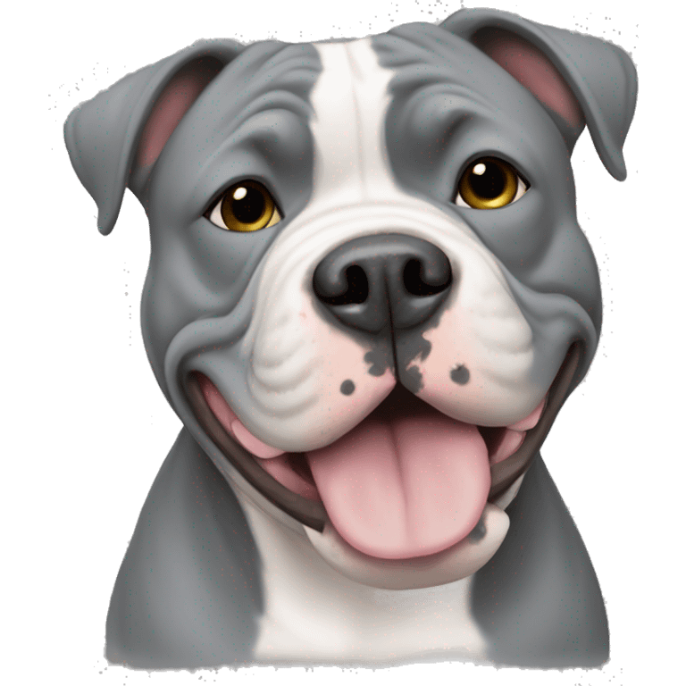 american bully white and grey  emoji