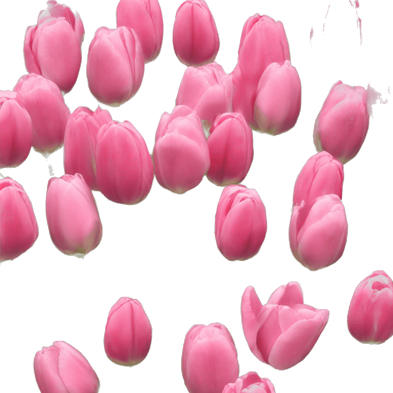 tulipanes rosas emoji