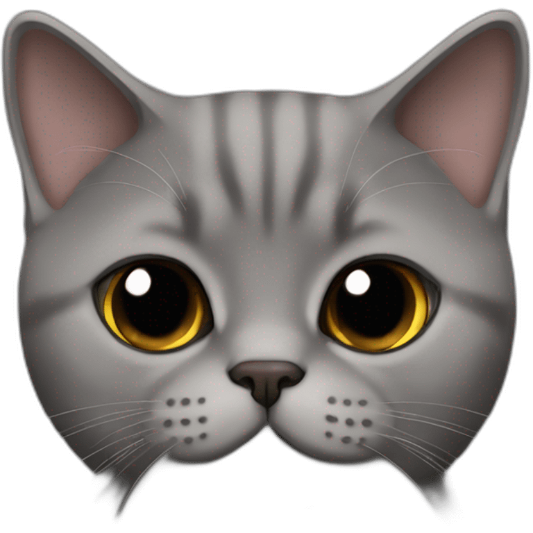 British shorthair cat dark brown color emoji