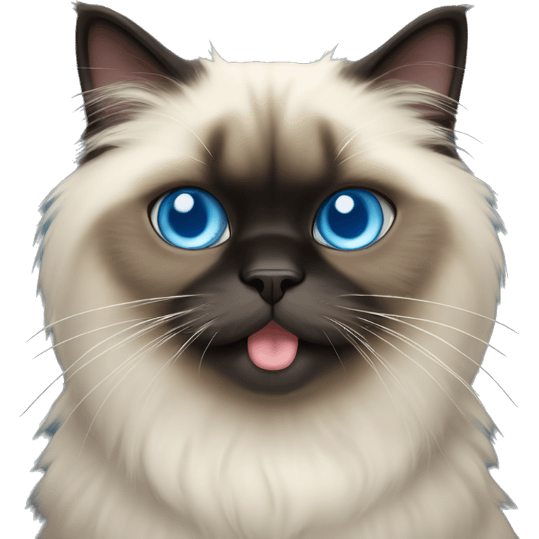 Himalayan cat with long tongue sticking out, blue eyes, full dark face emoji