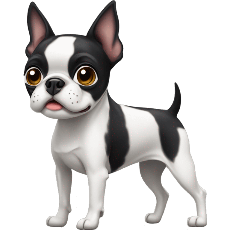 Boston terrier emoji