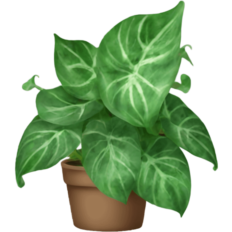 Pothos plant marbled leaves  emoji