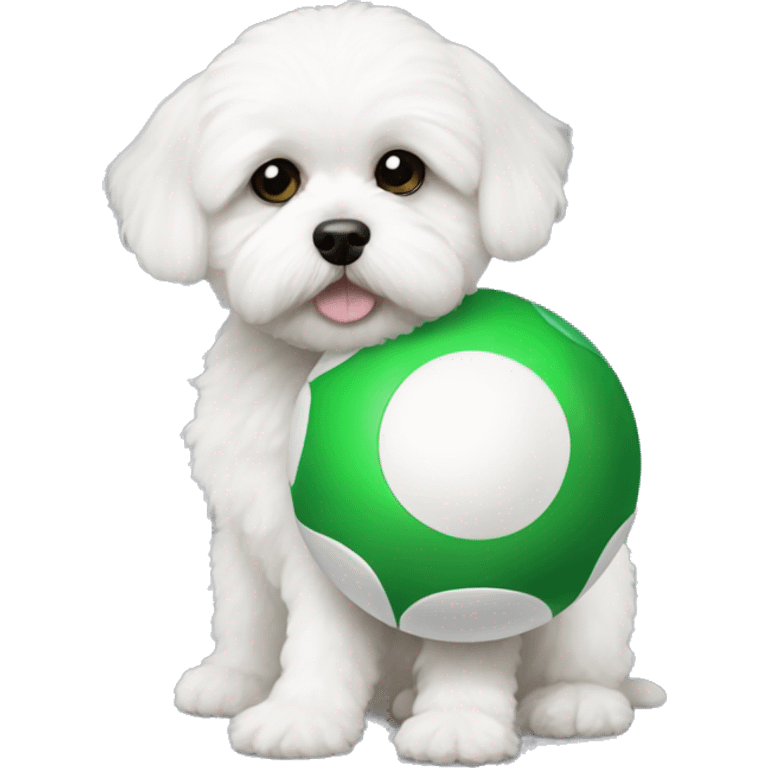 Little white Shihpoo holding a green ball emoji