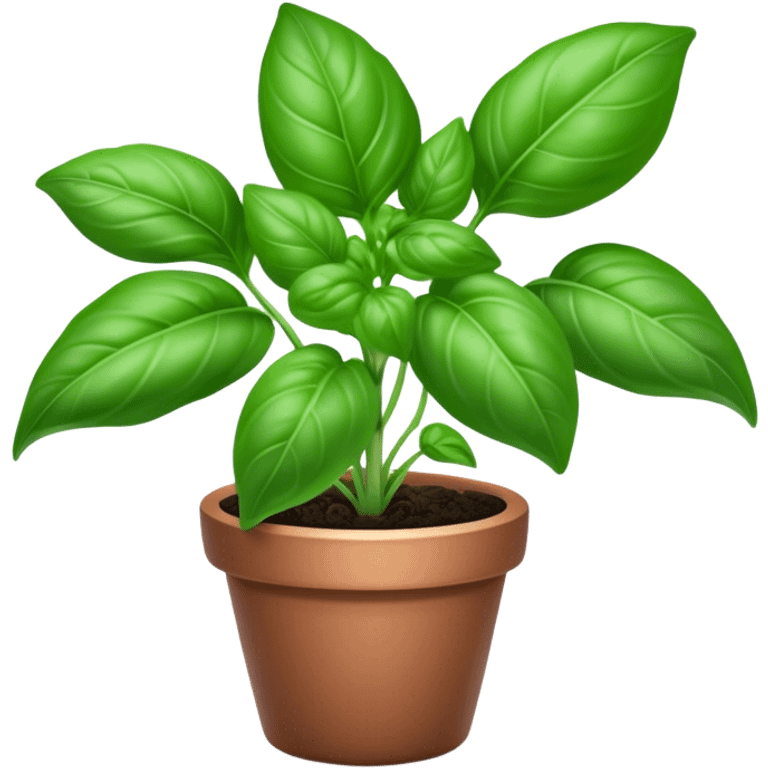 Cinematic Realistic Basil Emoji, Lush and fragrant, with vibrant green leaves that release a fresh, herbal aroma. The soft, glossy leaves are delicately arranged along slender stems, exuding vitality and flavor. Soft glowing outline, capturing the essence of freshness, growth, and aromatic delight in a blossoming basil plant! emoji