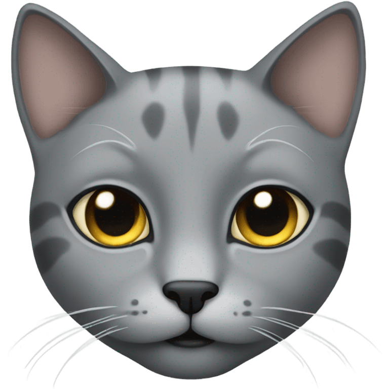 Gray cat with black eye emoji