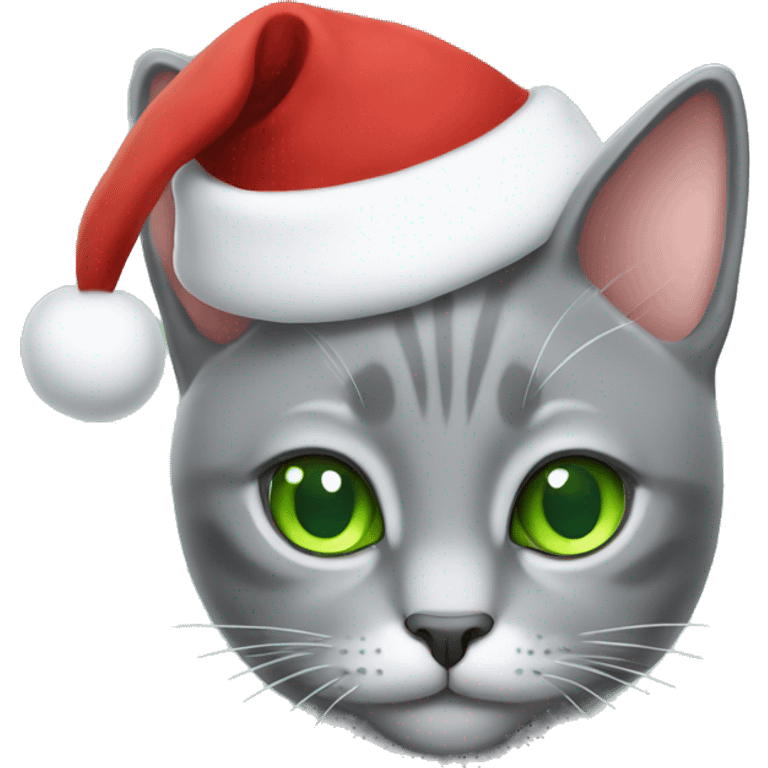 Gray cat with green eyes and Santa hat  emoji