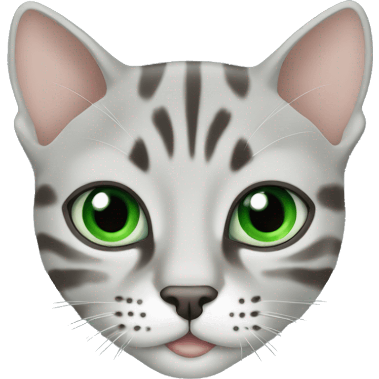 Face of bengal silver cat with Green ligth eyes emoji